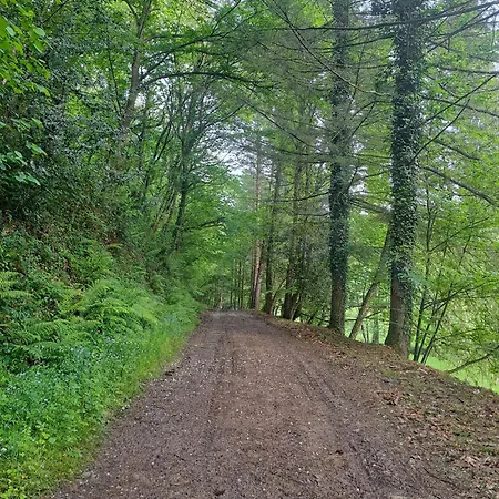 Nature Et En Pays Basque * Oregue